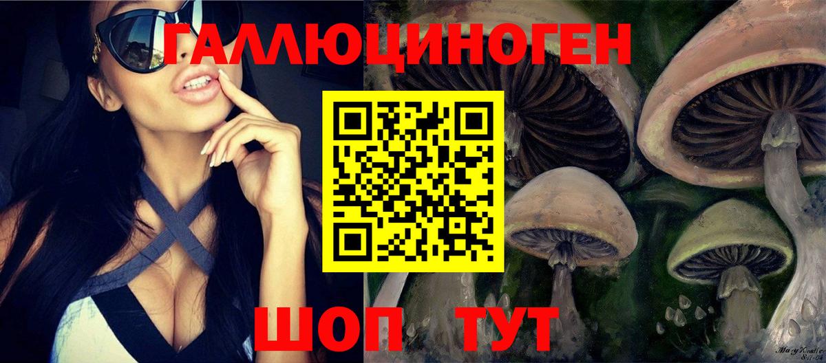 Галлюциногенные грибы мицелий Ижевск